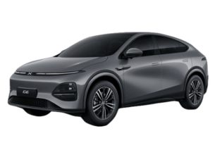 אקספנג G6